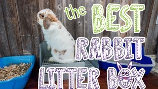 Rabbit Litter Box Comparison [upl. by Kcirrek910]