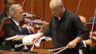 Ney Rosauro  Marimba Concerto No1 Mvmt2 Lamento performed by Roland Härdtner 2010 [upl. by Ekram]