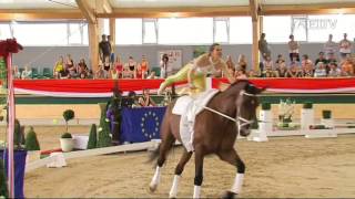 FEI European Vaulting Championships 2013  Junior Female 03 Blanka Nemeth [upl. by Bain]