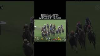 スワンステークスの結果です！いざ挑戦！そして狙う突っ切る 競馬 競馬結果 京都競馬 スワンステークス [upl. by Julita]