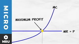 Maximizing Profit Under Competition [upl. by Ellimac]