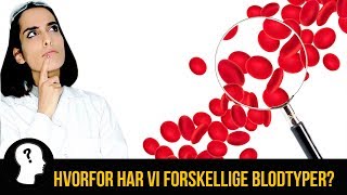 HVORFOR HAR VI FORSKELLIGE BLODTYPER [upl. by Holly]