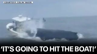 Whale slams into boat off New Hampshire coast sending men into ocean [upl. by Aundrea528]