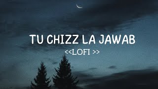 Tu cheez la jawab lofi mix song lofimusic [upl. by Adnicaj]