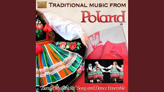 Music from Lublin Region [upl. by Nasas174]