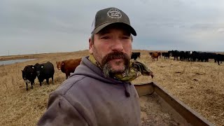 Day In The Life Of A South Dakota RANCHER [upl. by Kilian357]