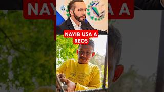 LOS REOS SON UTILES EN EL SALVADOR nayibbukele [upl. by Lramaj]