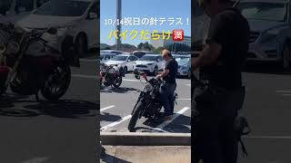 祝日㊗️の針テラスはバイクだらけ！カブツー カブツーリング 針テラス みんな大好き針テラス女性カブ乗り カブ バイク女子と繋がりたい [upl. by Michael]