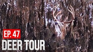 HUGE Buck Eating Milo Iowa Public Land  DEER TOUR E47 [upl. by Keele]