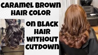 golden brown hair color on black haircaramel brown hair color without cutdownfashion color dyedye [upl. by Eseer]