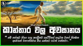 පෘථිවි කාන්තාර ඔක්කොම වනාන්තර බවට පත් කළොත් What if All the Desert form into Forest education [upl. by Sefton]