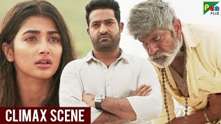 Aravind Sametha  Climax Fight Scene  Jr NTR Pooja Hegde Jagapathi Babu  Hindi Dubbed Movie [upl. by Budde]