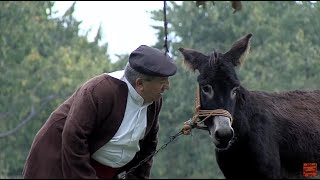 Makedonski Narodni Prikazni  Rikaj Marko [upl. by Celesta]