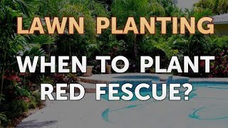 When to Plant Red Fescue [upl. by Cired386]