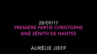 Zenith Nantes 28septembre première partie Christophe Maé [upl. by Anyela160]