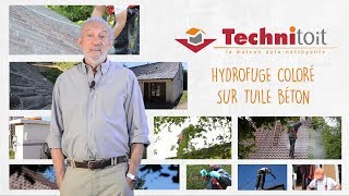 Lapplication dun hydrofuge coloré Technitoit sur une toiture en tuiles avec Robert Longechal [upl. by Hawk11]