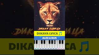 DIKAYA LVICA 🎶 ALEX RUS HOW TO PLAY ON PIANO shorts [upl. by Iad]