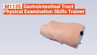 M1135  Gastrointestinal Tract Physical Examination Skills Trainer Full [upl. by Cottrell]