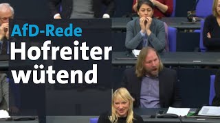 Anton Hofreiter flippt bei AfDRede von Curio im Bundestag aus  BR24 [upl. by Aidnac]