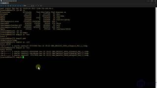 How to perform DR testing options with StandbyMP for Oracle SE databases [upl. by Roselle]