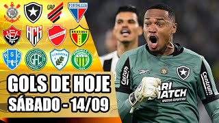 TODOS OS GOLS DESTE SÁBADO 140924  GOLS DE HOJE PELO BRASILEIRÃO SÉRIE A B E C [upl. by Nikal227]