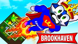 Jak ZDARMA LÉTAT v Roblox Brookhavenu [upl. by Nine]