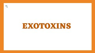 EXOTOXINS  TypeI TypeII and TypeIII Exotoxins  Mechanism of Exotoxins with Examples [upl. by Ayrb422]