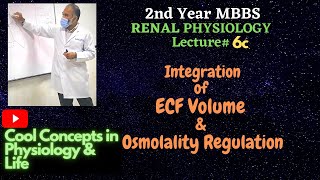 6c Integration of ECF Volume amp Osmolality Regulation 2ndYR MBBS Physiology RENAL Guyton [upl. by Haslett]