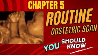 Routine Obstetric Scan  Chapter 5  Importance  Abnormalities  Diagnosis [upl. by Anade]