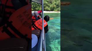 Booking Slot To Pulau Kapas [upl. by Caves364]