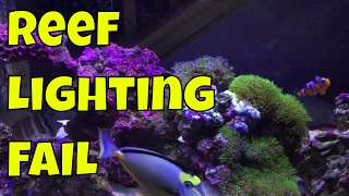 Dumbass reef lighting fail  orbit marine pro led [upl. by Enobe837]