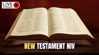 The Holy Bible  Complete NEW TESTAMENT Audio Bible NIV Dramatized [upl. by Yhotmit]