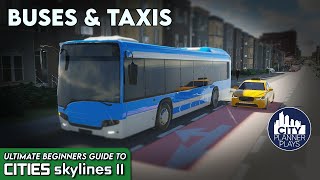 How to Transform Transportation in Your City with Buses amp Taxis in Cities Skylines 2 2023  UBG 3 [upl. by Aiyekal]