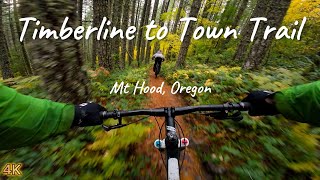 Timberline to Town MTB trail Mt Hood Oregon [upl. by Anavoj]