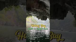 Dark amp Bright Cave Virtual Tour by Riding a Rowing Boat Lan Ha Bay  Halong Bay Vietnam travel [upl. by Aaron]