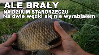 Nieobliczalne bajorko nad Bugiem  pod wieczór biorą najlepiej [upl. by Harrie]