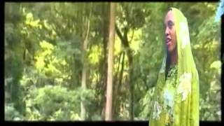 Aman Gobana  Sabboontuu Oromoo Oromo Music [upl. by Danyluk]