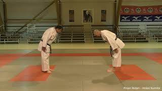 PINAN NIDAN HOKEI KUMITE [upl. by Yajnas487]