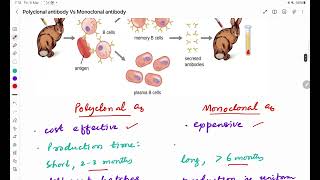 Polyclonal Vs Monoclonal antibodies [upl. by Ahsinal478]