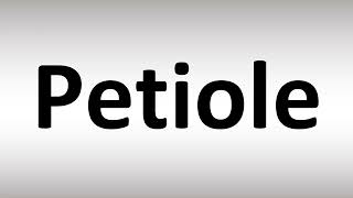 How to Pronounce Petiole [upl. by Brantley]