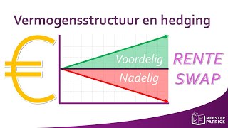 Vermogensstructuur en hedging  Bedrijfseconomie [upl. by Nivled113]