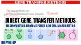 Direct Gene Transfer methods Electroporation Liposome fusion Gene Gun method Microinjection [upl. by Shurwood]