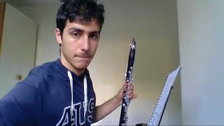 Clarinet Technique Vademecum du Clarinetiste de Paul Jeanjean [upl. by Chandler54]