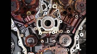 Commodore timing chain [upl. by Betthezel]