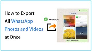 5 Ways to Export All WhastApp Photos and Videos to PC [upl. by Merrile]