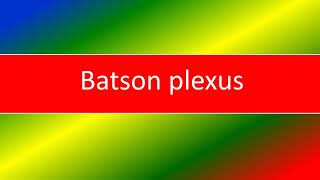 BATSON PLEXUS [upl. by Ulane]