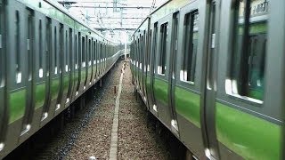 Xing Crossing Trains in Japan [upl. by Ahasuerus]