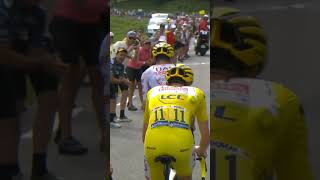 Instinctive racing from Pogačar 🔥 Shorts TDF TDF2024 [upl. by Peregrine]