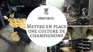 Formation n°8  mettre en place une culture de champignon [upl. by Innavoj]