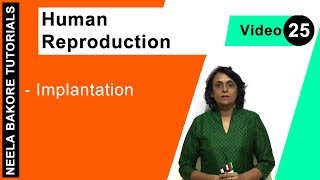 Human Reproduction  NEET  Implantation  Neela Bakore Tutorials [upl. by Ardni363]